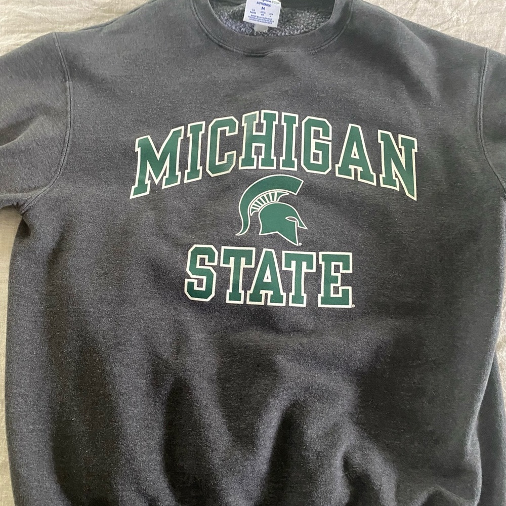 Grey Michigan State University Champion Crewneck